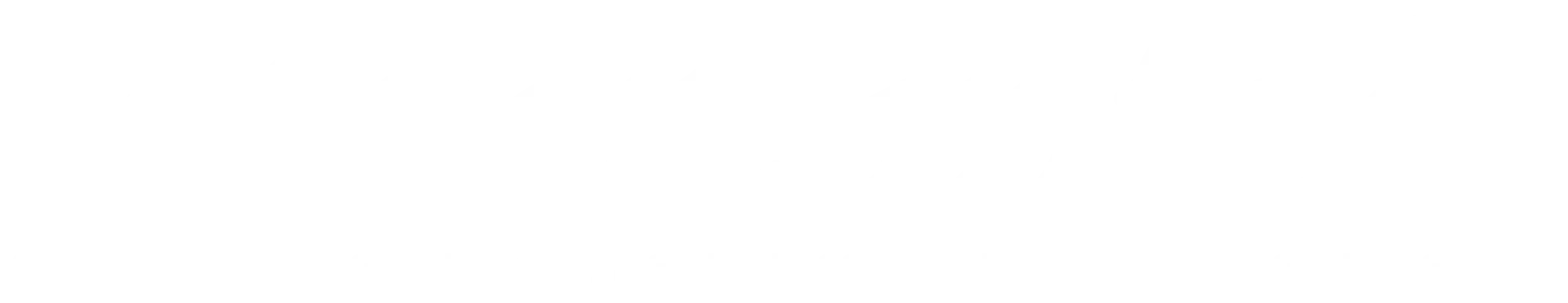 Stuut