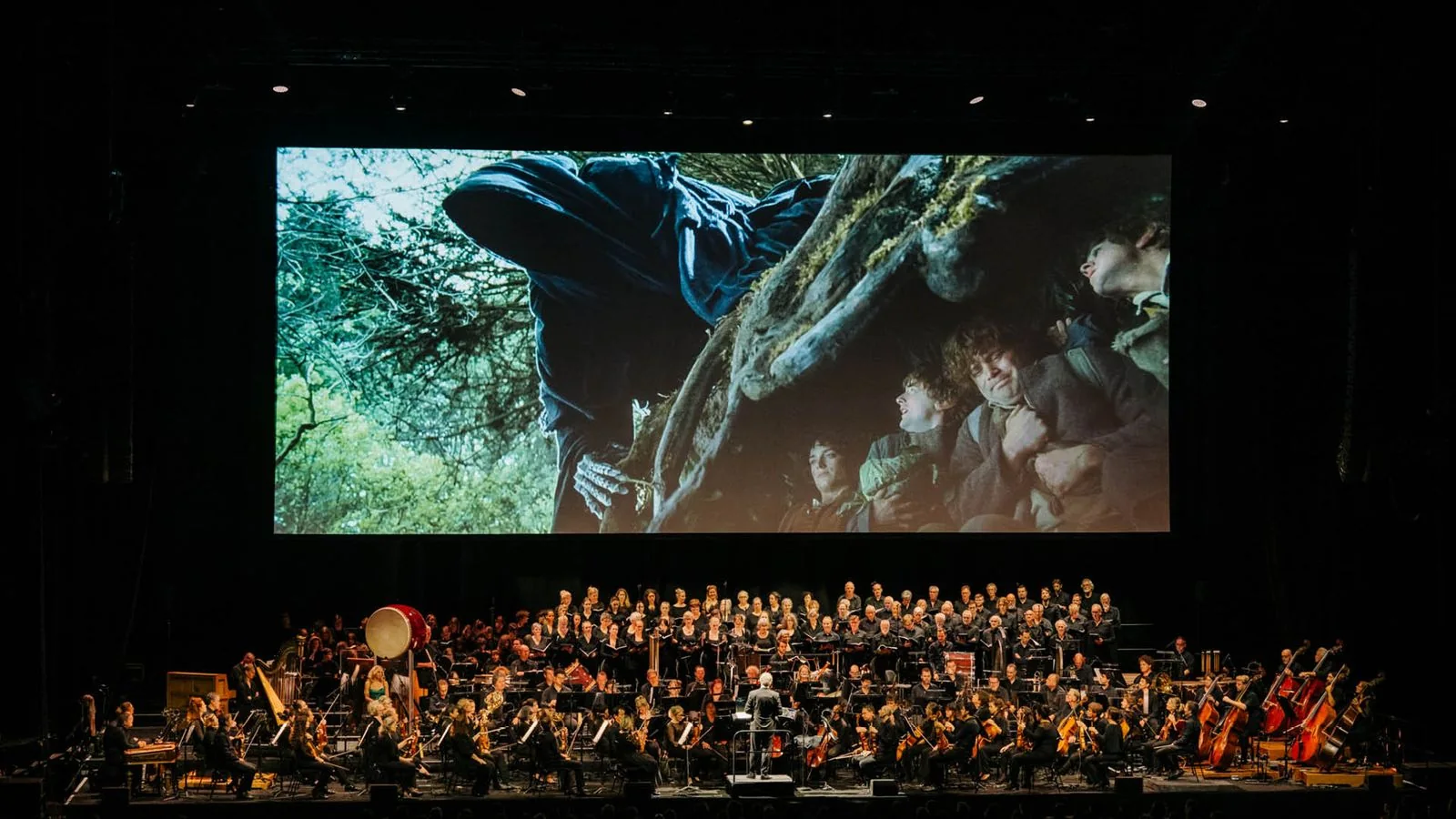 The Lord of the Rings: The Fellowship of the Ring in Concert - #1